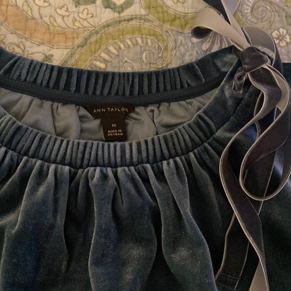 Ann Taylor Velvet Blouse - Picture 2 of 3